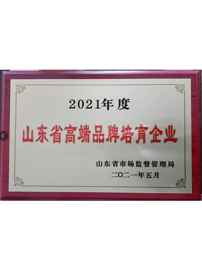 山東省高端品牌培育企業